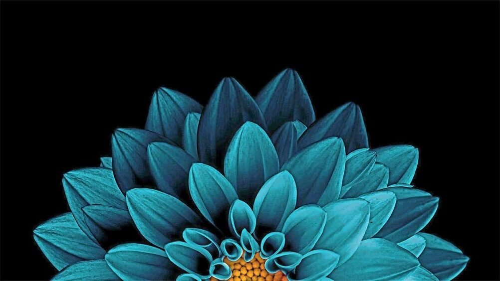 Alívio do Stress em 30 Minutos: O Segredo dos Homens de Rio Claro e Região de Limeira, Piracicaba, Araras, São Carlos…🧘♂️